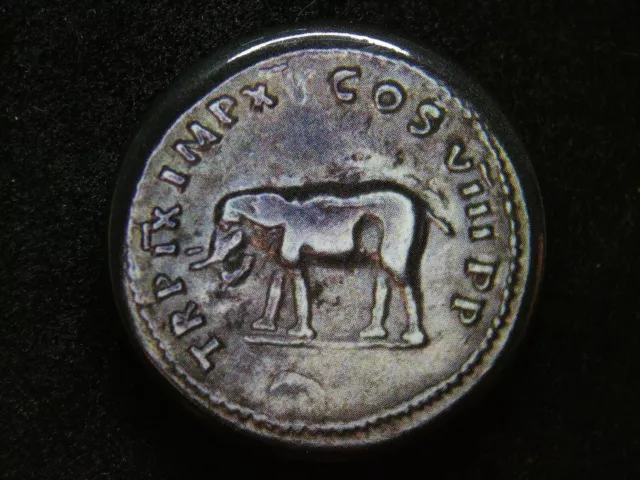 Ancient Roman Denarius 1.5 inch refrigerator magnet gift feat. Titus's Elephant