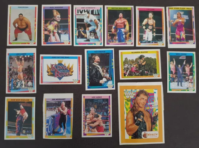 Konvolut 14 Wwf Wrestling Trading Cards / Sammelkarten - Merlin Collection 1995