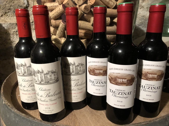 Lot de 6 demies bouteilles de Saint Emilion Grand Cru