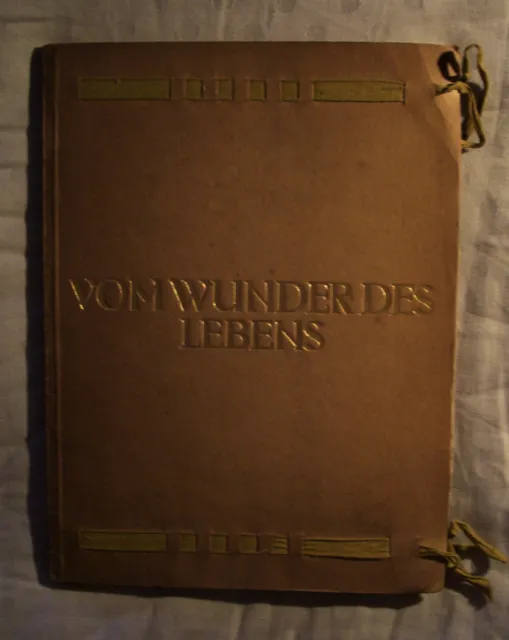 Lebensreform GERTRUD PRELLWITZ  "Sonder-Ausgabe" LEBENS-WUNDER (1910) FIDUS