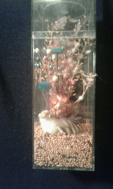 Vintage Quail Dried Flowers Birdseed Decorative AMAC Plastic Box Case G Hurwitt