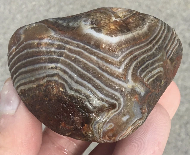 5.7 oz Lake Superior Agate TOP SHELF High Contrast Wrap Around Floater Insane