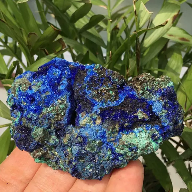 New Natural Mineral Specimen Azurite Malachite Geode Crystal Reiki Healing Stone