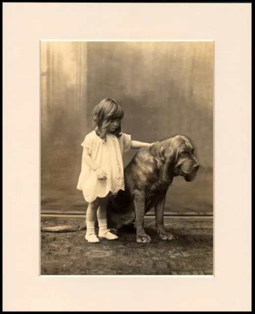 Bloodhound And Small Child Charming Dog Print Mounted Ready To Frame