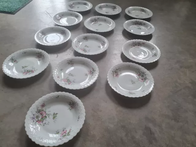 13 Assiettes Creuses Porcelaine Limoges Georges Boyer Fleuries