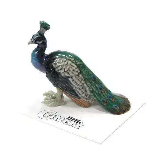 Little Critterz Peacock "Shimmer" Home Decor Bird - Miniature Porcelain Figurine
