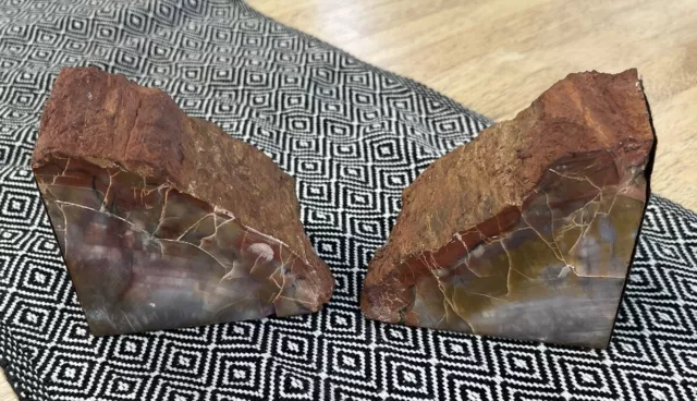 Vintage petrified wood bookends Pair beautiful polished Felt Lined 3