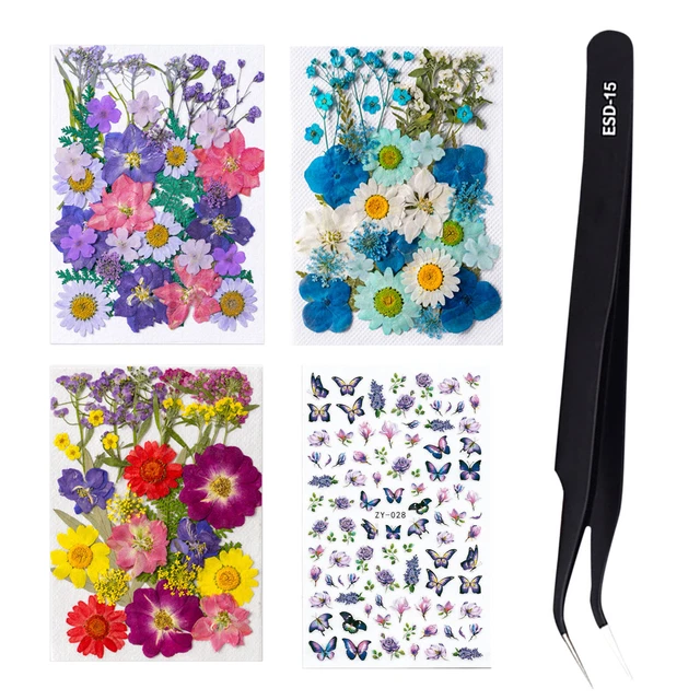 3 Packs Flower Material Packages Set for Nail Art Jewelry Natural Bookmarks FS2#
