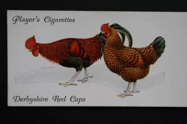 DERBYSHIRE REDCAPS  Poultry Chickens   Vintage 1931 Card  BD12M