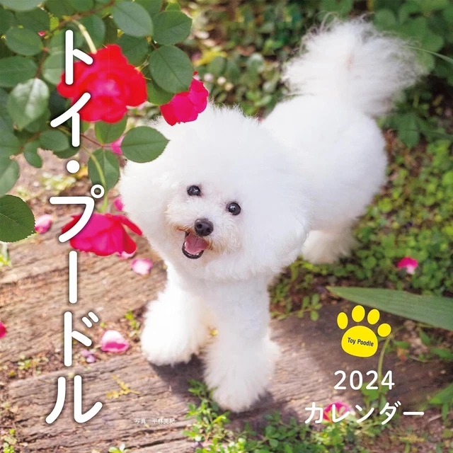 2024 CALENDAR TOY Poodle (Seibundo Shinkosha calendar) £25.23 PicClick UK