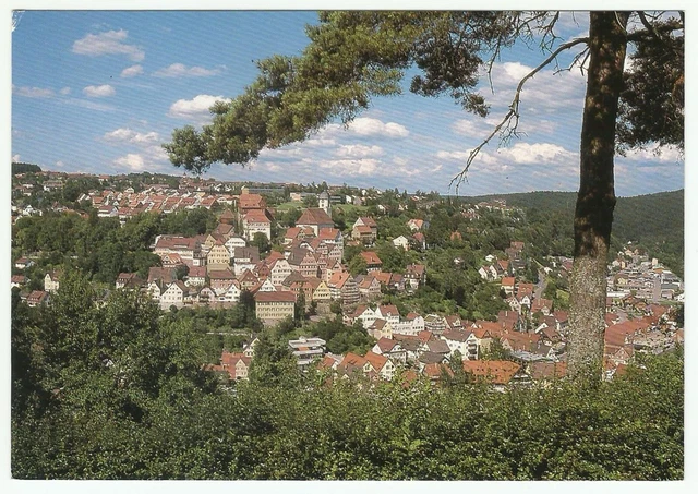 Altensteig Schwarzwald Germany, Vintage Postcard, Air Spa in Black Forest