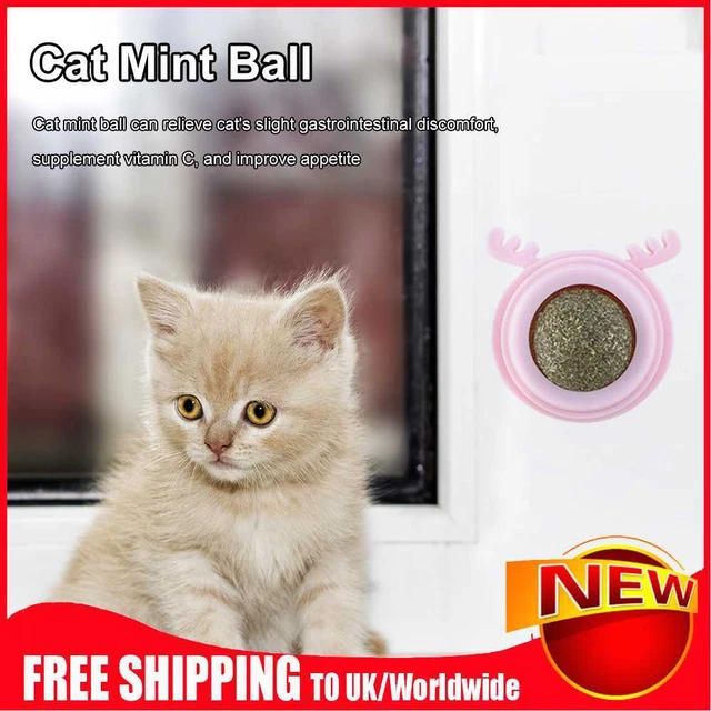 Bolas de plástico hierba gatera de juguete para gatos reemplazables con forma de cabeza de perro suministros para mascotas (rosa)