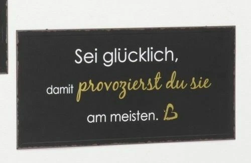 HÄNGER SCHILD METALL Eisen lackiert Spruch Sprüche 40x20 cm Sei