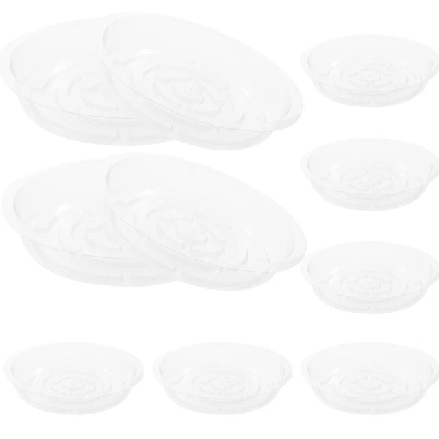 House Plants Indoors Live Saucers Transparent Plant Tray Water Tray
