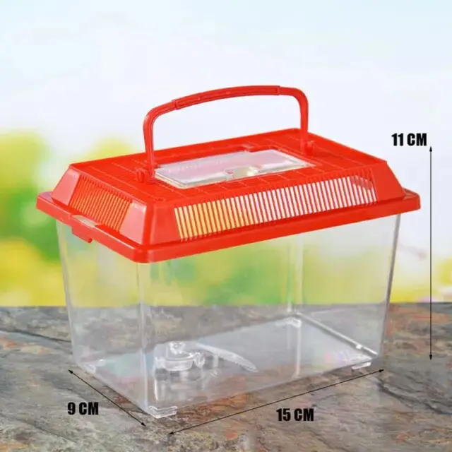 1PCS Portable Multifunctional Handheld Plastic Fish Tank Transparent Cutout Desi