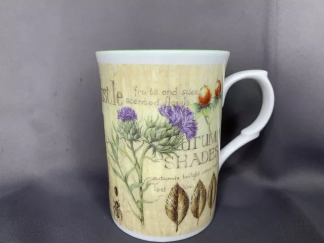 ROSE OF ENGLAND Fine Bone China Autumn Shades Thistle Tea Coffee Cup Mug  UK 2