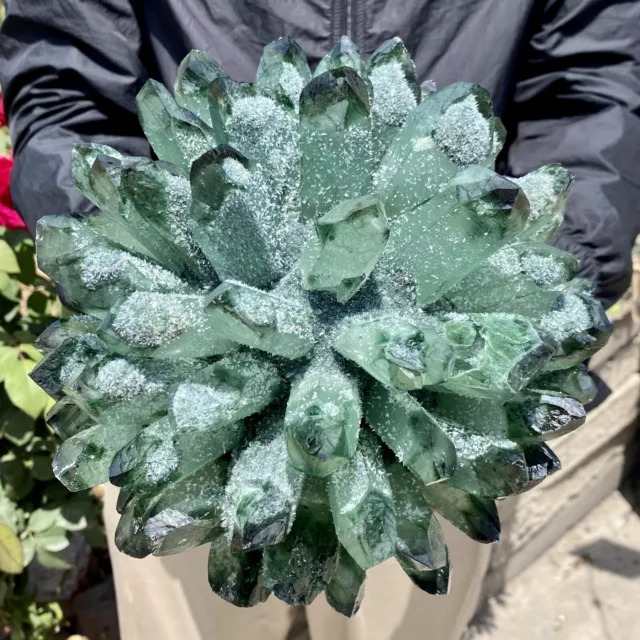 11.4LB New Find Green Phantom Quartz Crystal Cluster Mineral Specimen Healing
