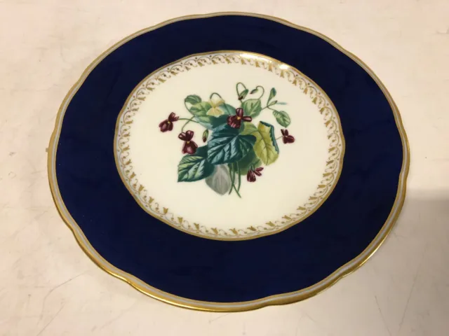 1847-1867 Hand Painted Copeland English Spode Botanical Cabinet Plate #4