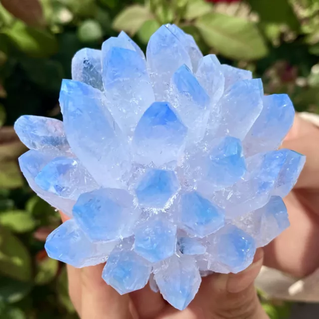 290G New Find Blue Phantom Quartz Crystal Cluster Mineral Specimen Healing.