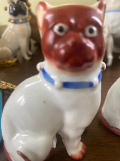 vintage pug dog with blue collar