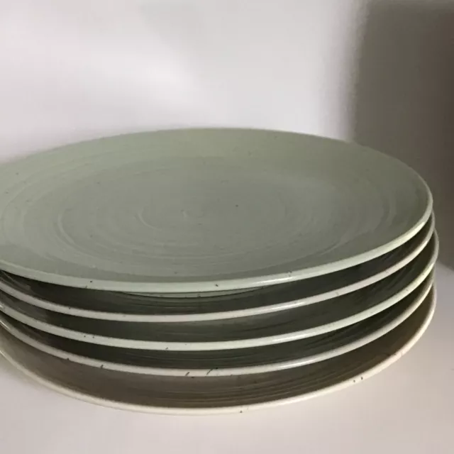 Sango Siterra Artist's Blend 10 34" Dinner Plates Set of 5