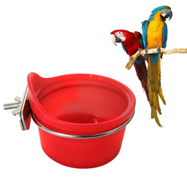 Fournitures pour oiseaux Multifonction Perroquet Mangeoire À Oiseaux Abreuvoir