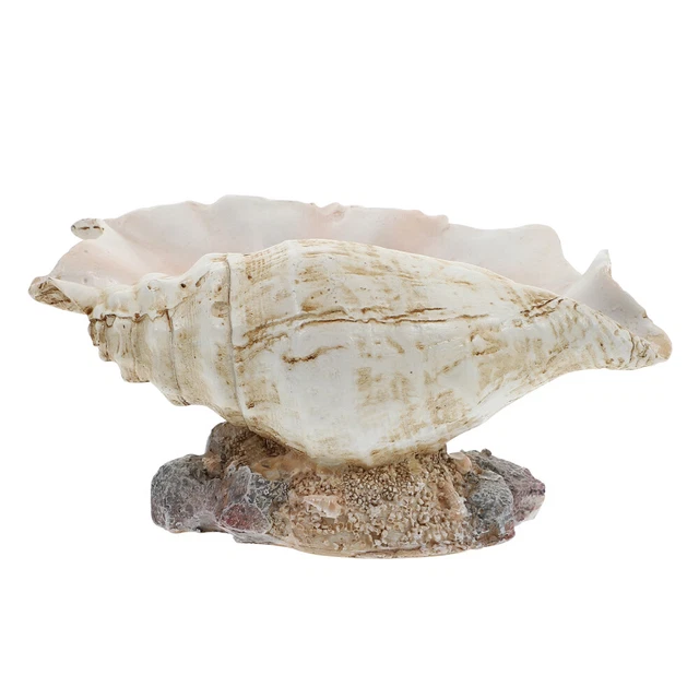 1pc Conch Blumentopf Shell Topf Conch Shell Figurine
