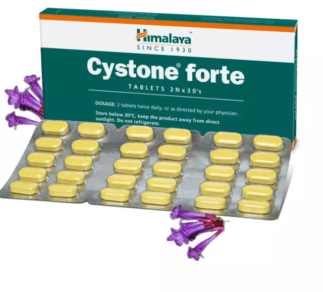 Cystone Forte Himalaya Exp.2025 OFFIZIELL USA 2er Pack 120 Tabletten