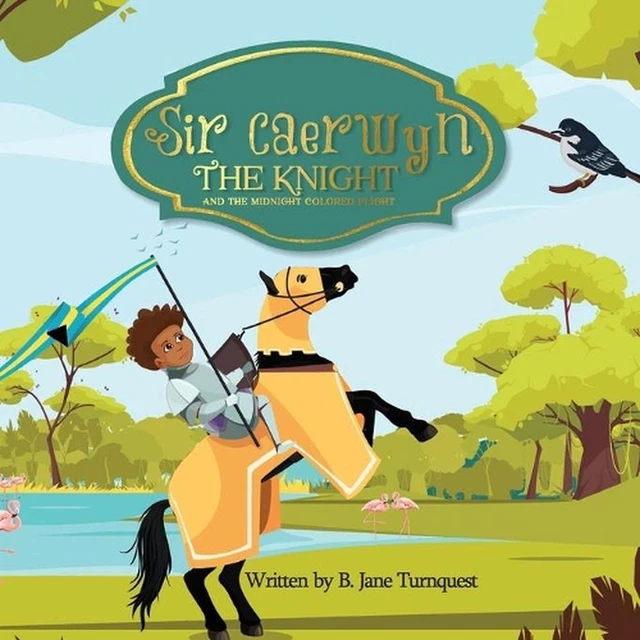 SIR CAERWYN LE chevalier et la plaie colorée de minuit par B. Jane ...