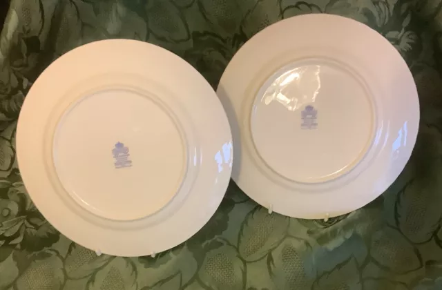 Aynsley pair of  “Cottage Garden” Salad Plates 8.25 cm 3