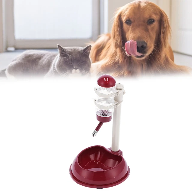 Pet Lift Drinking Fountain Food Automatic Feeding Dog Water Dispenser For Ca ZZ1