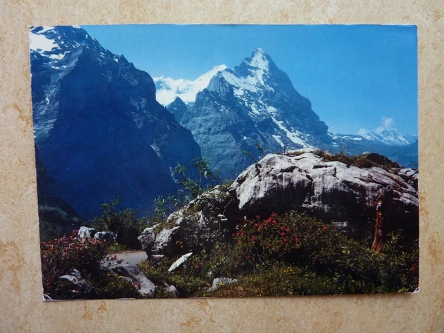 Ansichtskarte Postkarte AK Blick von der großen Scheidegg Mönch Eiger