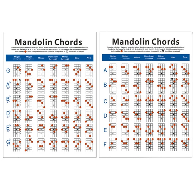 MANDOLIN TRAINNING GUIDE Diagram Chord Poster Chart for Guitar Beginner ...