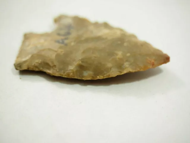 Archaic Native American Flint Stone Arrow Point San Marcos Texas NAA-44 3