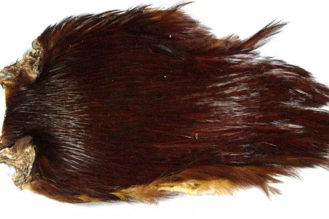 Cou de coq Indien BRUN ROUX FONCE montage mouche cock neck rooster cape hackle