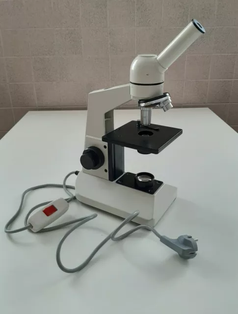 Microscopio vintage biologico con luce. Hertel & Reuss Optik Kassel, Germany.