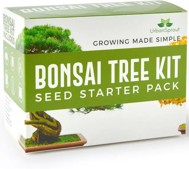 Urban Sprout Bonsai Tree Kit - Grow Your Own Trees from Seed -...