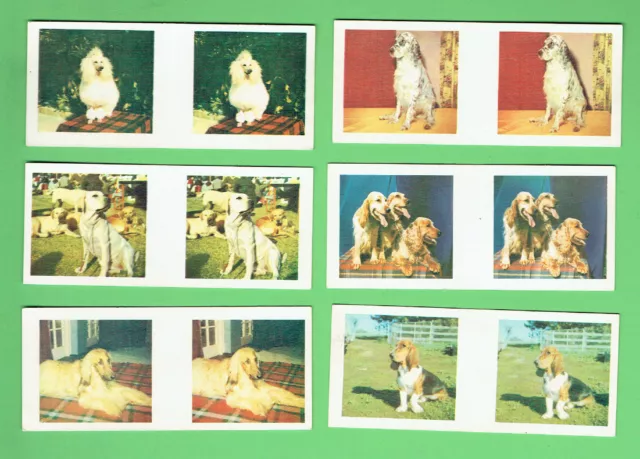 #D262.  Six 1963  Sanitarium True-To-Life Stereo Famous Dog Breeds  Cards