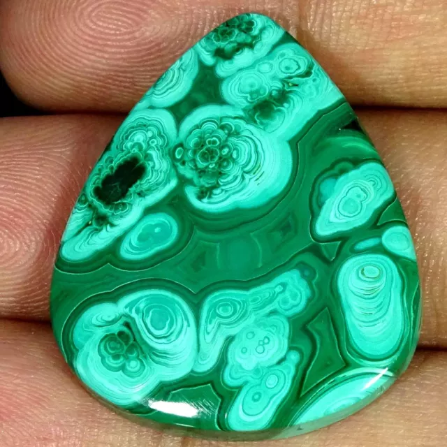 53.50 Cts African Malachite Loose Gemstone Pear Cabochon Natural 28X33X5MM