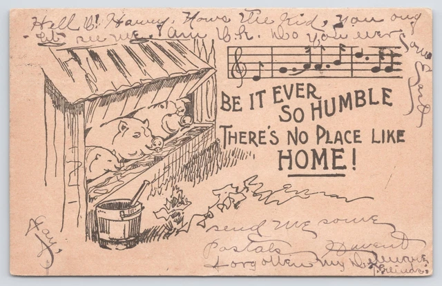 ANIMAL THERES NO PLACE Like Home Pigs Eating From Trough PM 1907 ANIMAL THERES NO PLACE Like Home Pigs Eating From Trough PM 1907