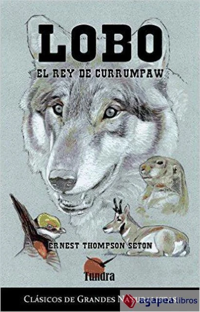 Lobo. El rey de currumpaw. NUEVO. ENVÍO URGENTE (Librería Agapea)