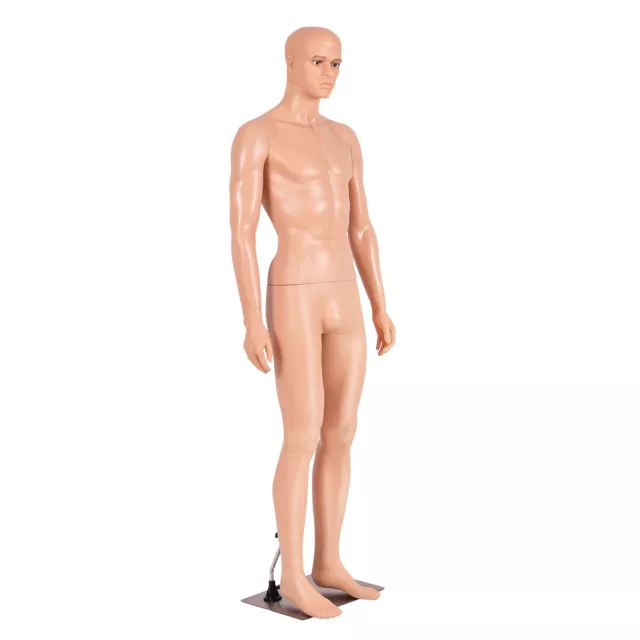 Full Body Mannequin Torso Manikin 184 cm Realistic Male Shop Window Display