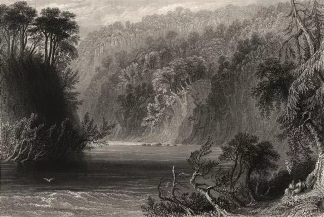 Coilsfield Banks, water of Ayr. Ayr River. Scotland. BARTLETT c1840 old print