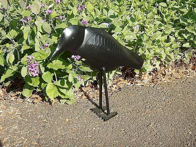 CROW Black Metal Bird  Sculpture  - Large 16" Tall  NEW