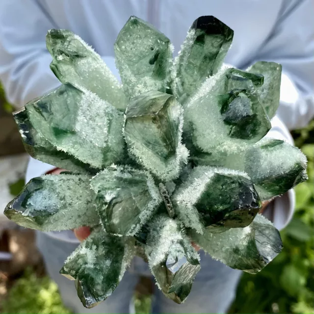 1.58LB New Find Green Phantom Quartz Crystal Cluster Mineral Specimen Healing-A
