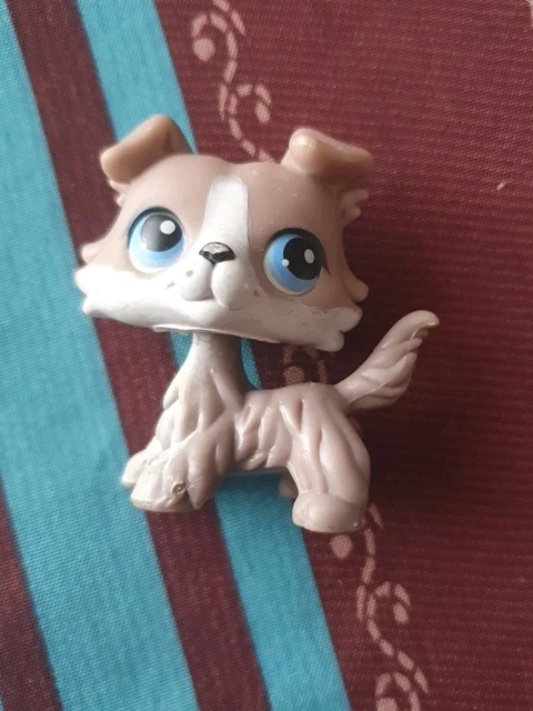 Littlest Pet Shop LPS #893 - Chien Colley Authentique Hasbro, Occasion