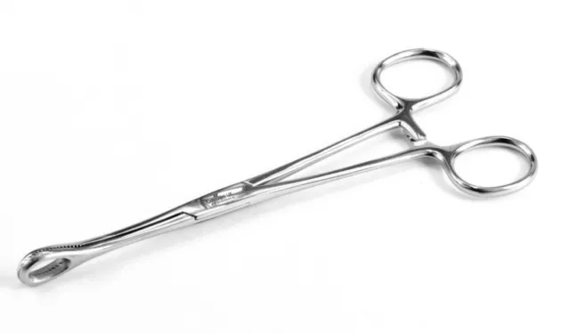 Sponge forceps Regular 15cm 18cm, Tounge Ear Body Pierecing oval Clamps