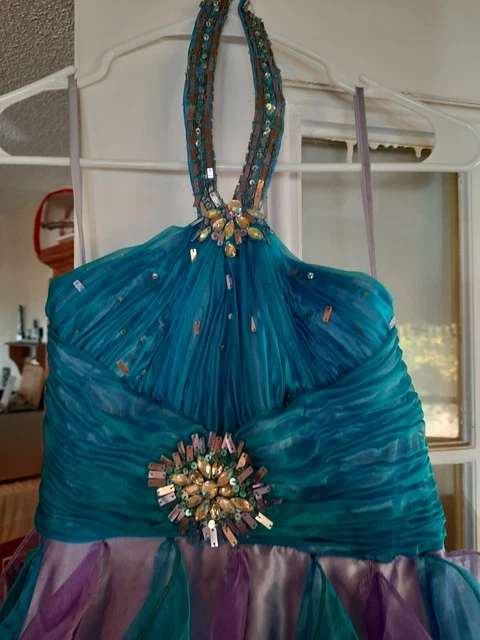 Size 8 Pageant Dress 3