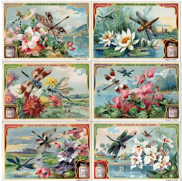 S 0896 / Liebig / Fiori E Libellule (Ita) 896 Mf110459