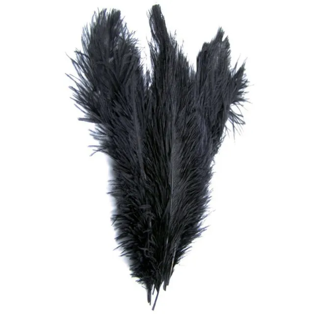 Large Ostrich Feathers Bulk-Making Kit 10Pcs 28 Long Feathers for